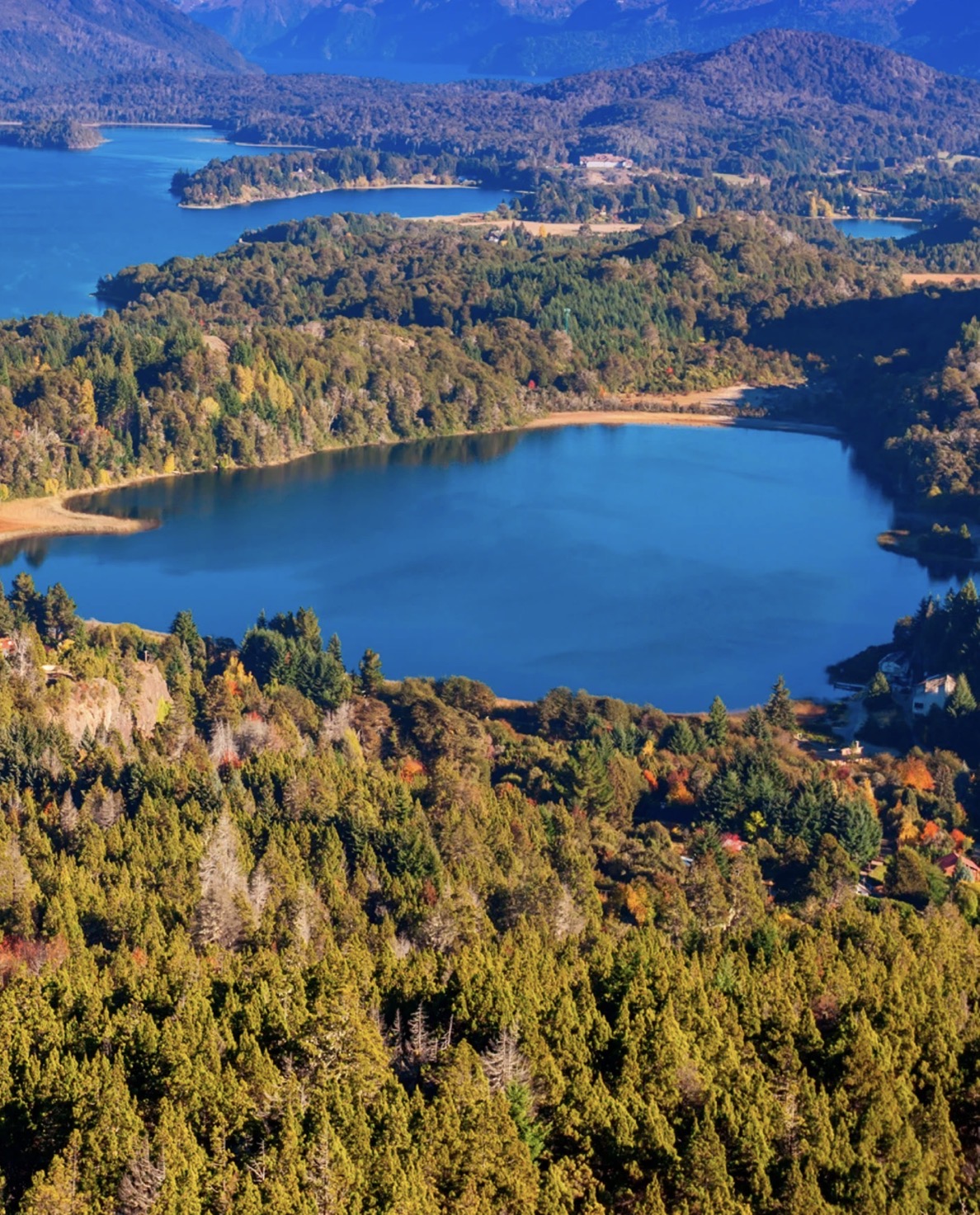 Argentina: vista elevada de lago azul-cobalto cercado de bosques e montanhas andinas, com casas e praia na margem, em Bariloche