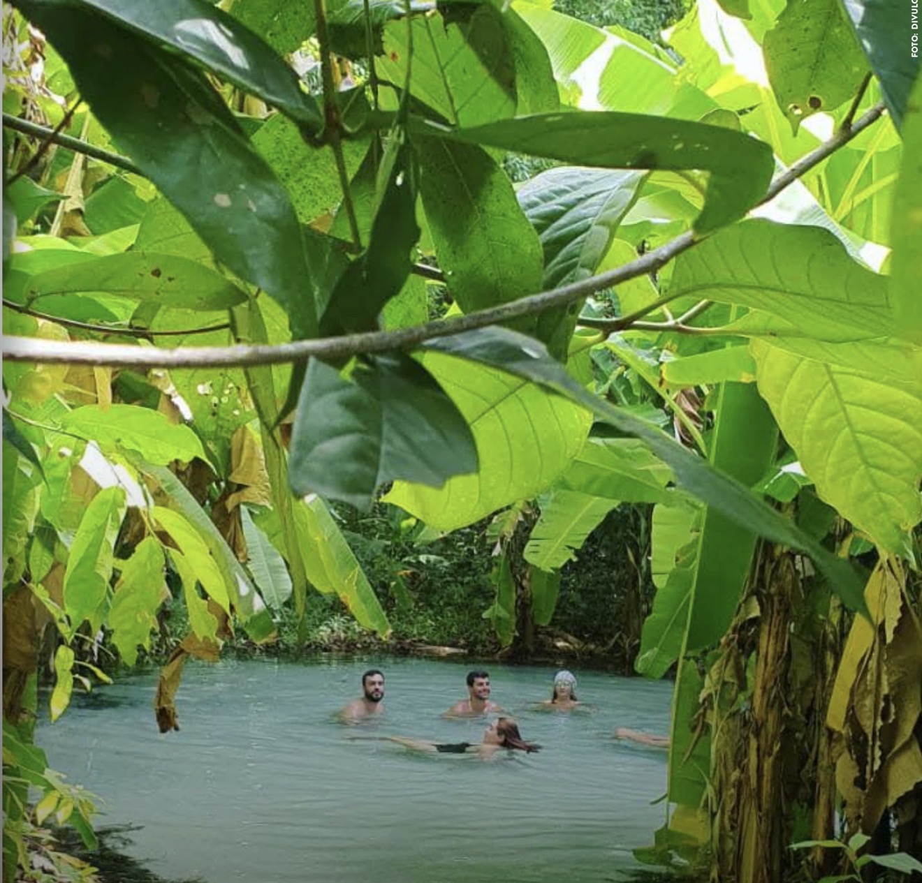 Jalapão: pessoas nadando em uma piscina natural de águas azul-turquesa, vista por entre a folhagem verde do cerrado