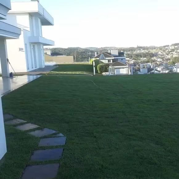 Gramado recém-plantado em casa moderna com caminho de pedras